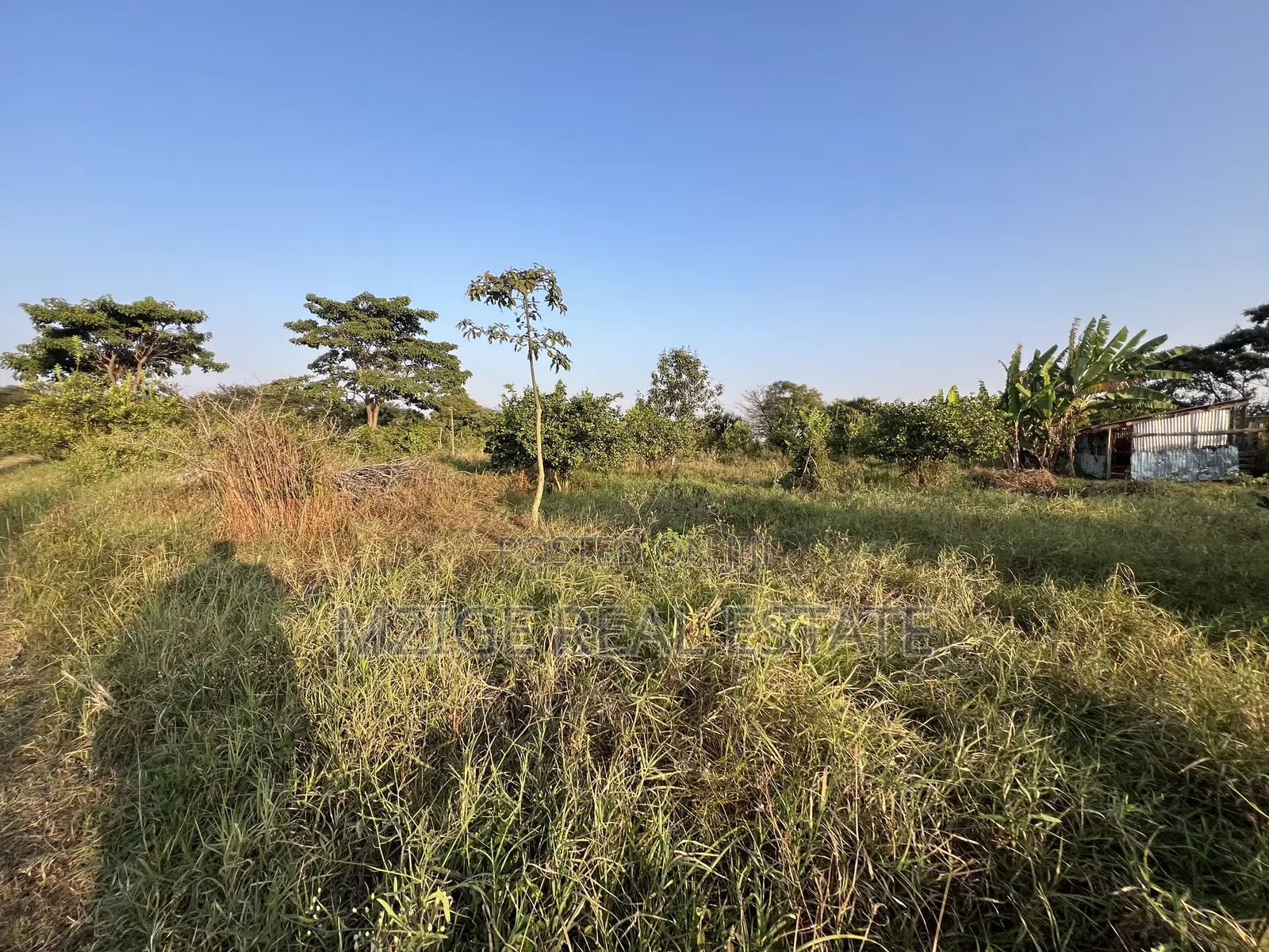 7 Acres for Sale in Kisongo, Arusha