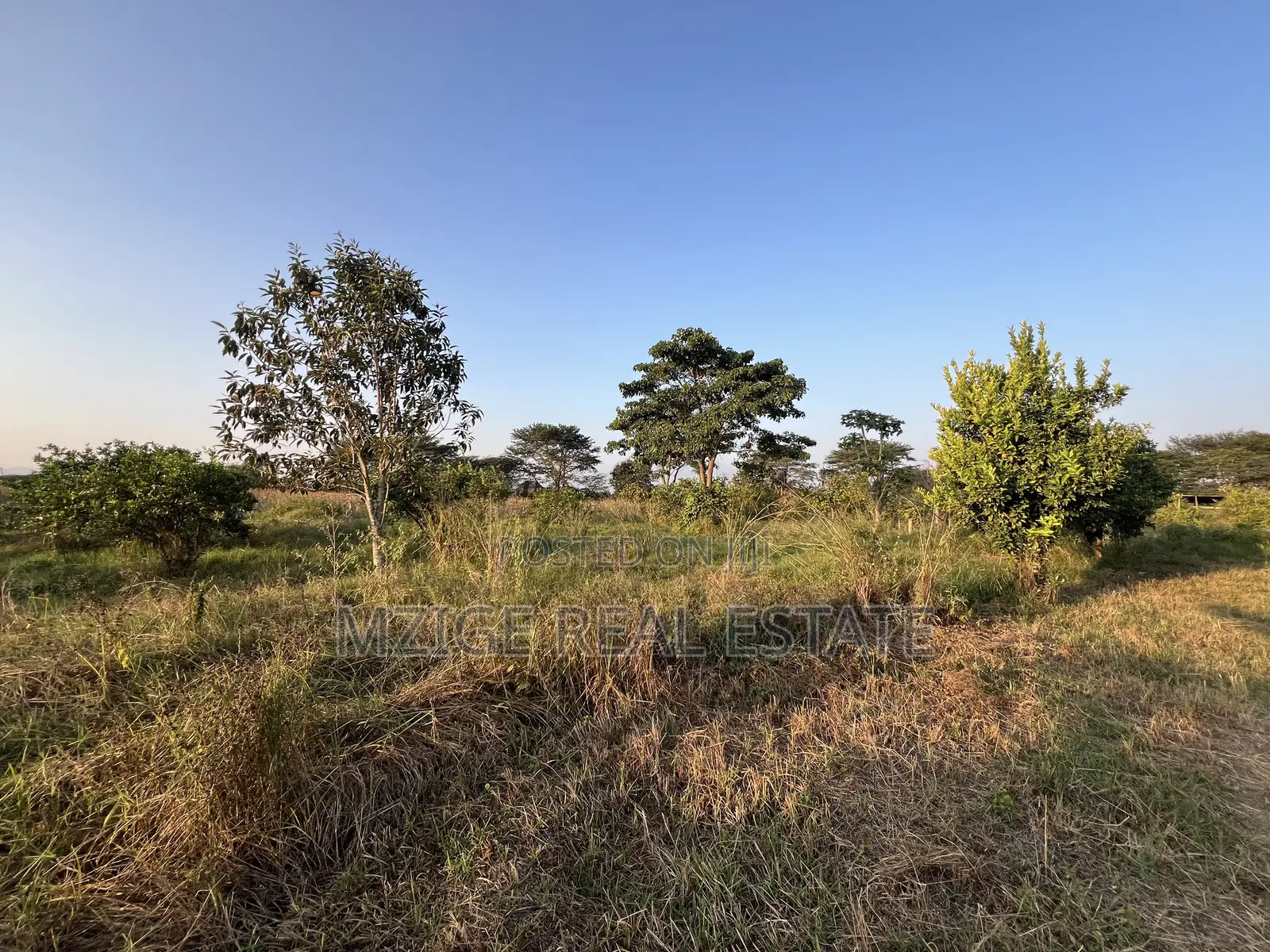 7 Acres for Sale in Kisongo, Arusha