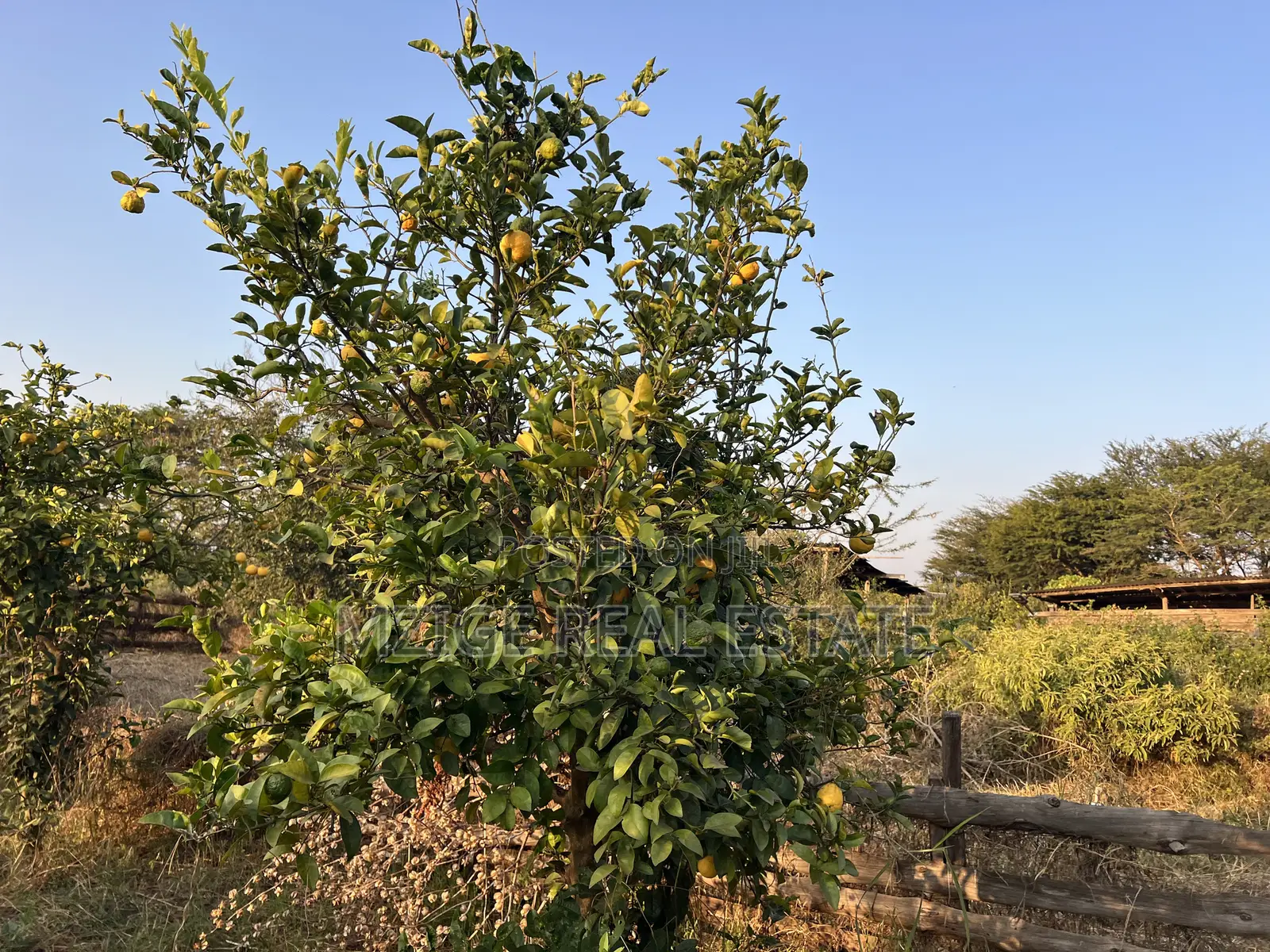 7 Acres for Sale in Kisongo, Arusha