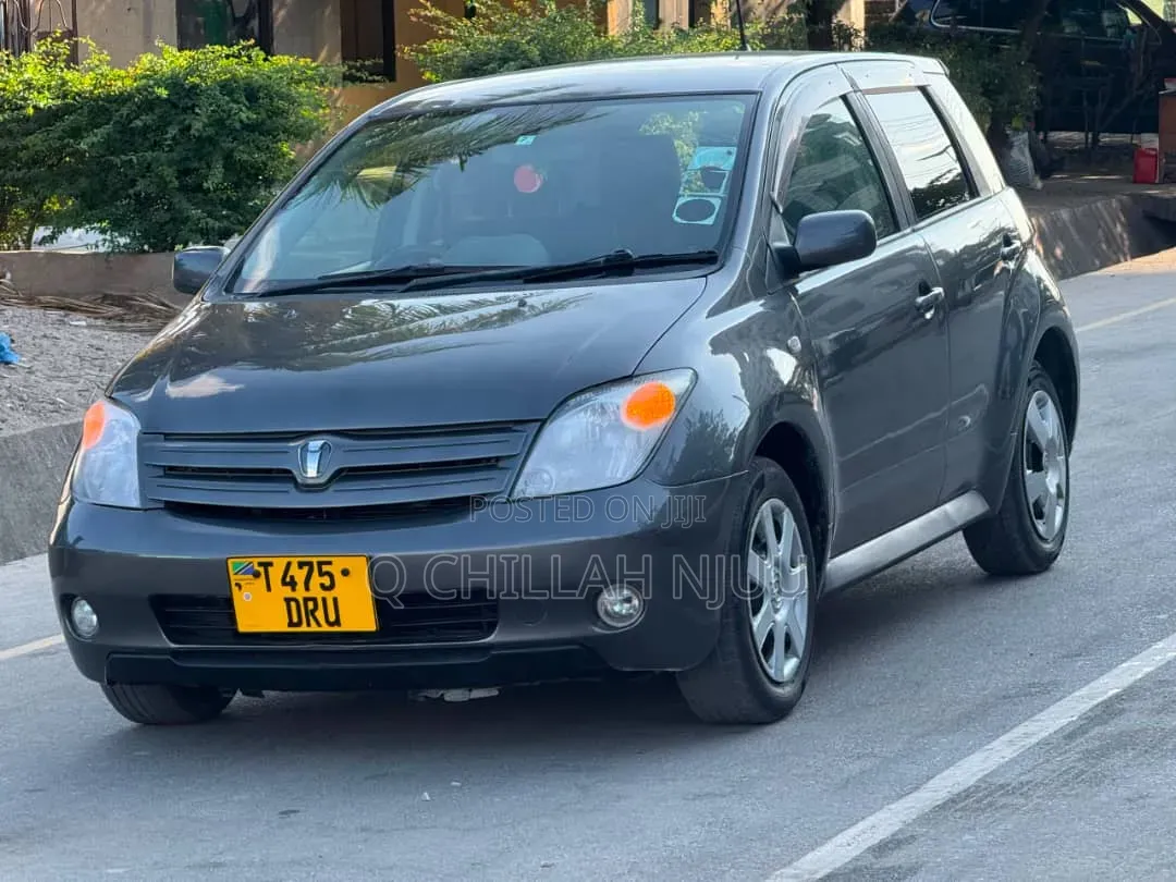Toyota IST 2003 Gray