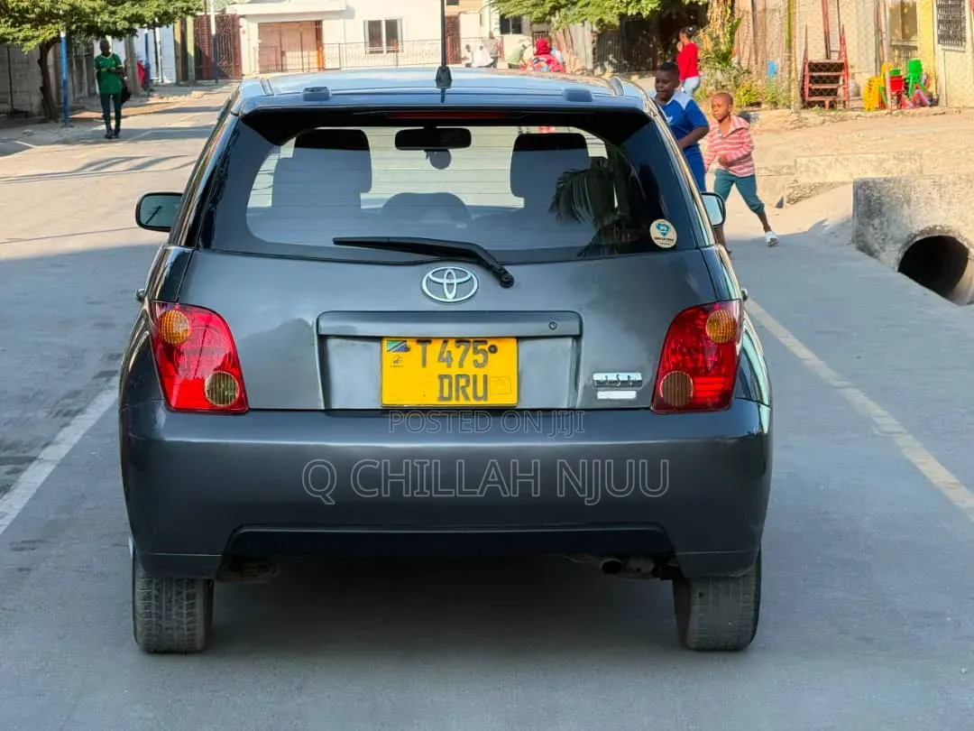 Toyota IST 2003 Gray