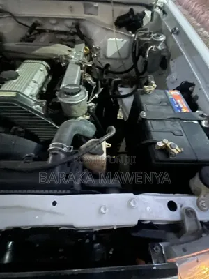 Toyota Land Cruiser 2001 White