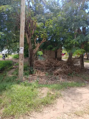 Eneo Linauzwa