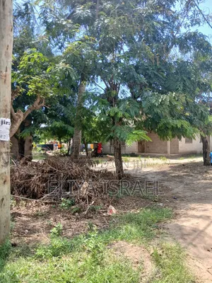 Eneo Linauzwa