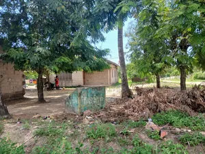 Eneo Linauzwa