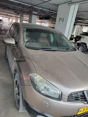 Nissan Qashqai 2011 Pearl
