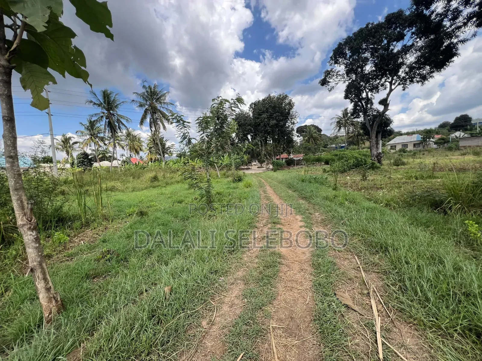 5hector at Bagamoyo Mapinga Investment Area