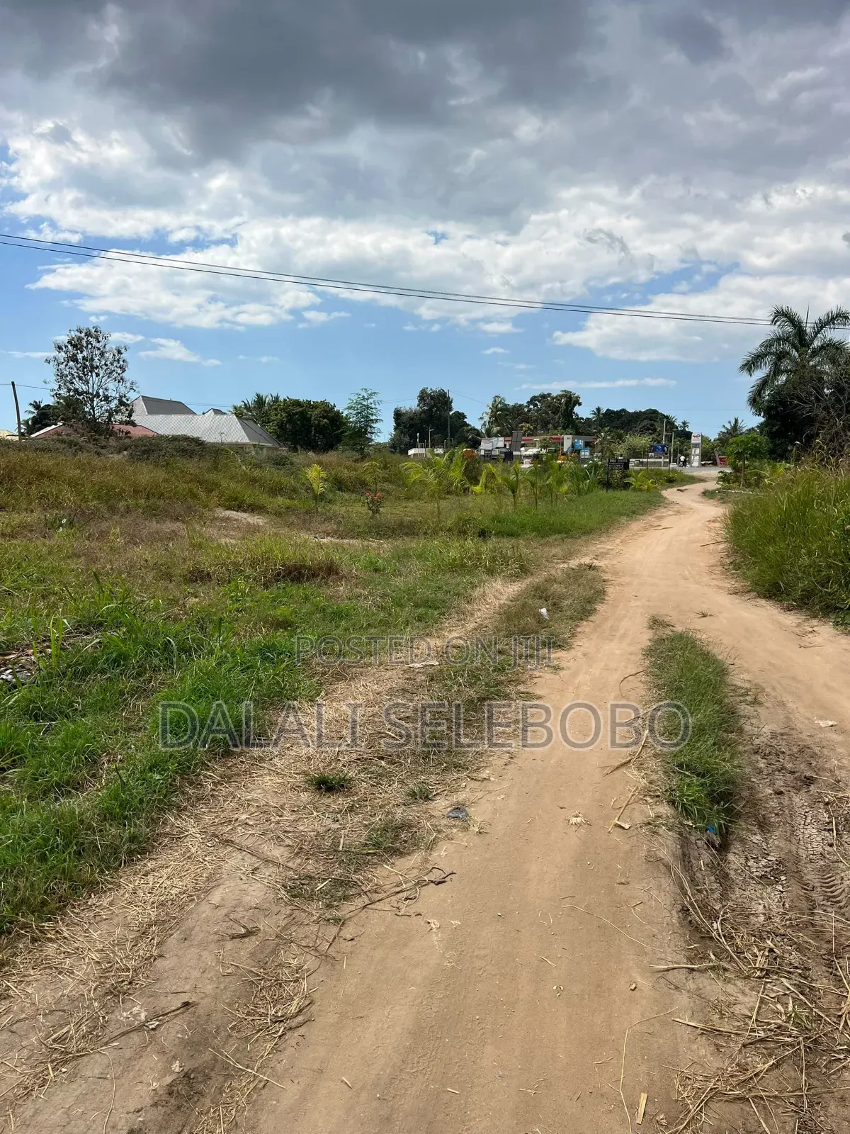 5hector at Bagamoyo Mapinga Investment Area