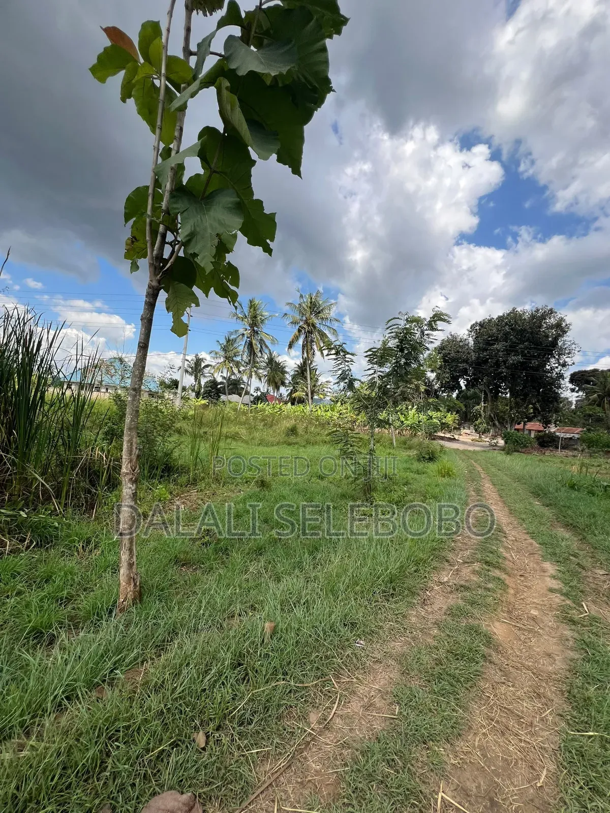 5hector at Bagamoyo Mapinga Investment Area