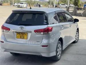Toyota Wish 2010 Silver