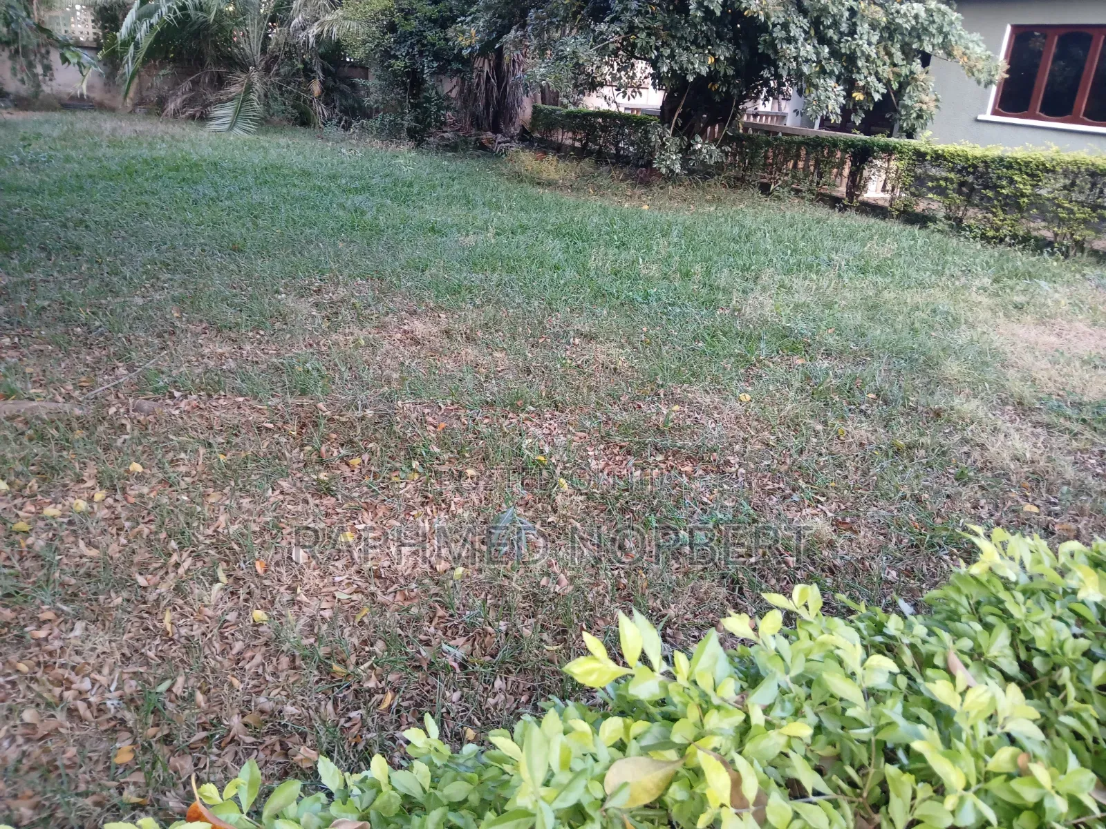 4bdrm House in Tanzania Realestates, Njiro for rent