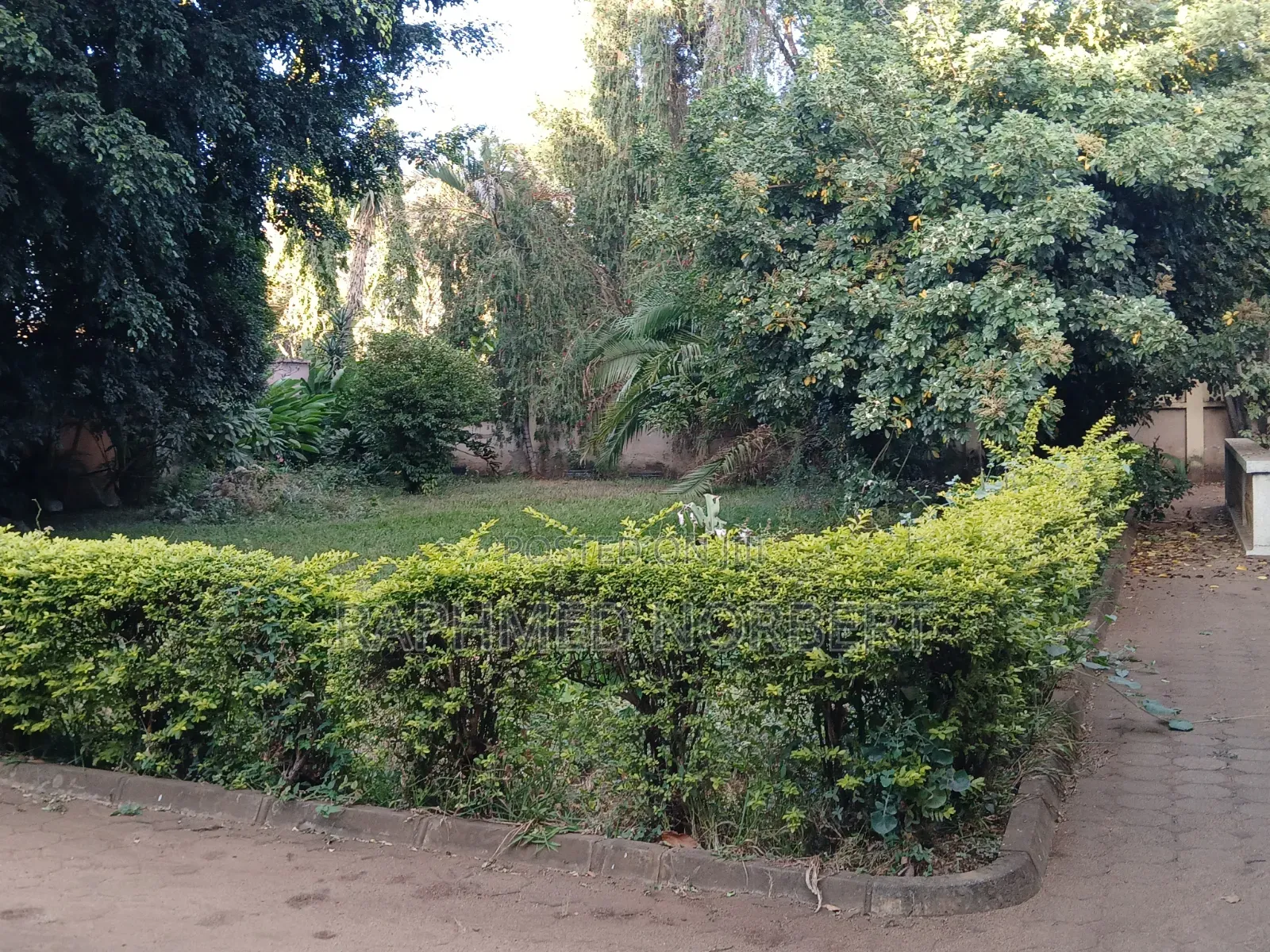 4bdrm House in Tanzania Realestates, Njiro for rent