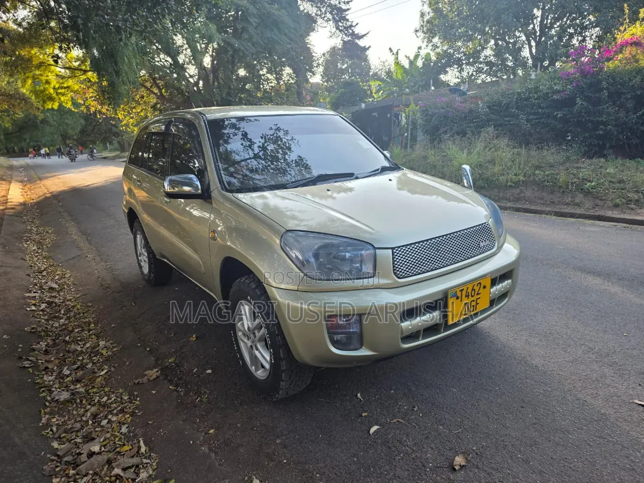 Toyota RAV4 Automatic 2003 Gold