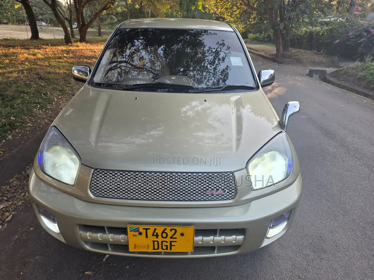 Toyota RAV4 Automatic 2003 Gold
