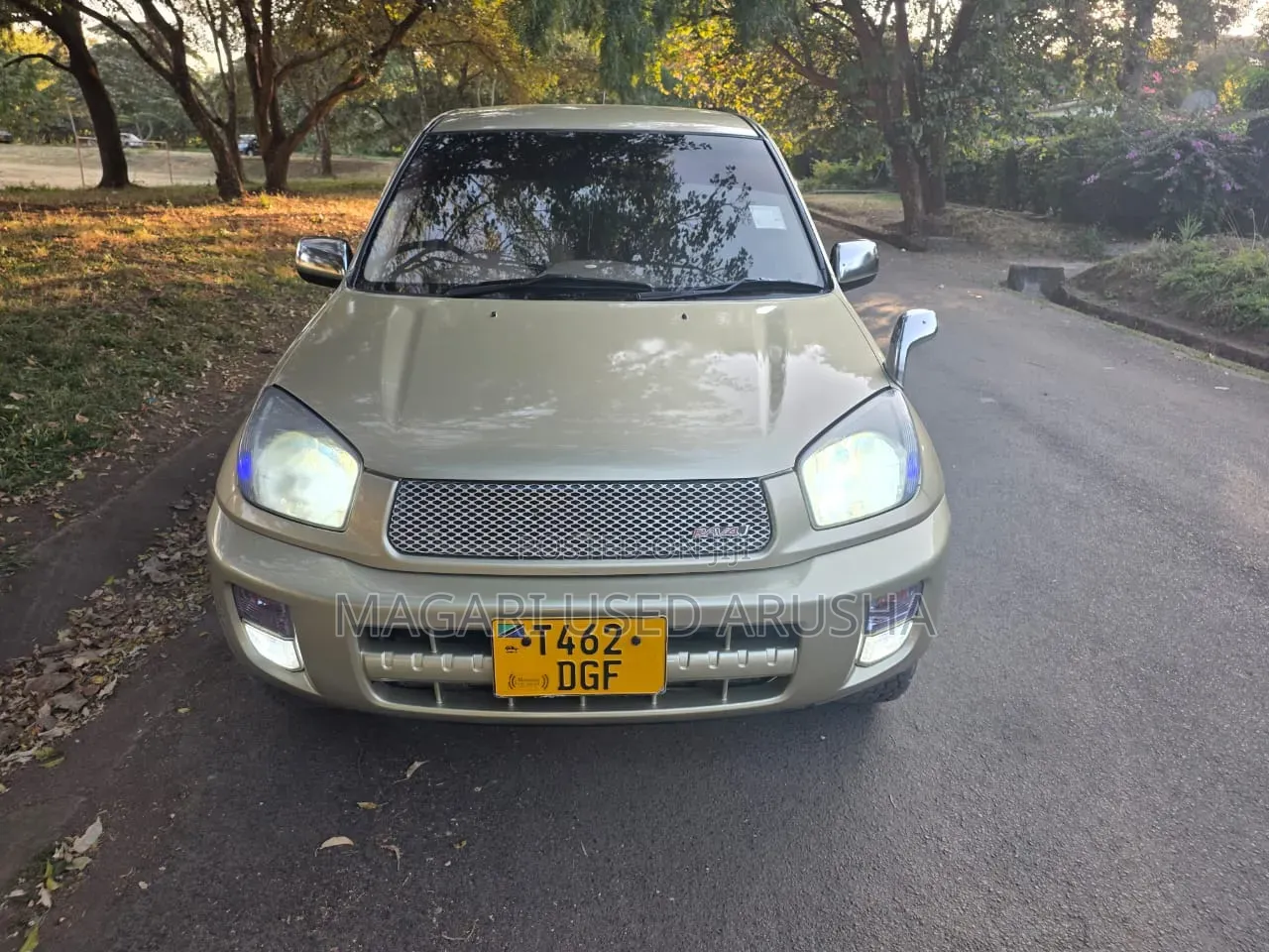 Toyota RAV4 Automatic 2003 Gold