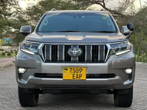 Toyota Land Cruiser Prado 2020 Gray
