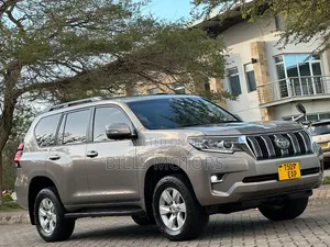 Toyota Land Cruiser Prado 2020 Gray