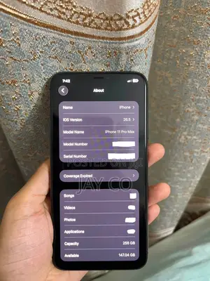 Apple iPhone 11 Pro Max 256 GB Gray