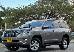 Toyota Land Cruiser Prado 2020 Gray