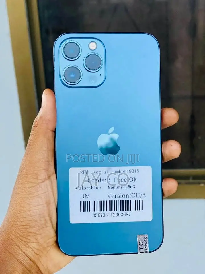 Apple iPhone 12 Pro Max 256 GB Blue
