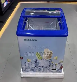 Hisense Display Freezer FC-20DD (154L)
