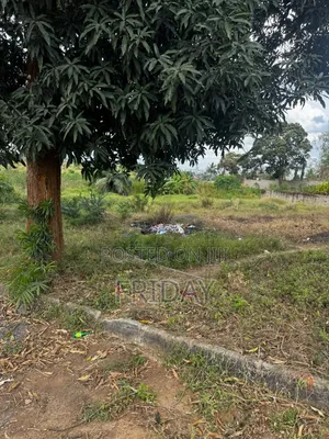 Kiwanja Goba