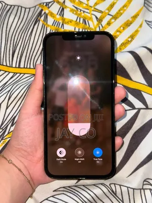 Apple iPhone 12 Pro Max 256 GB