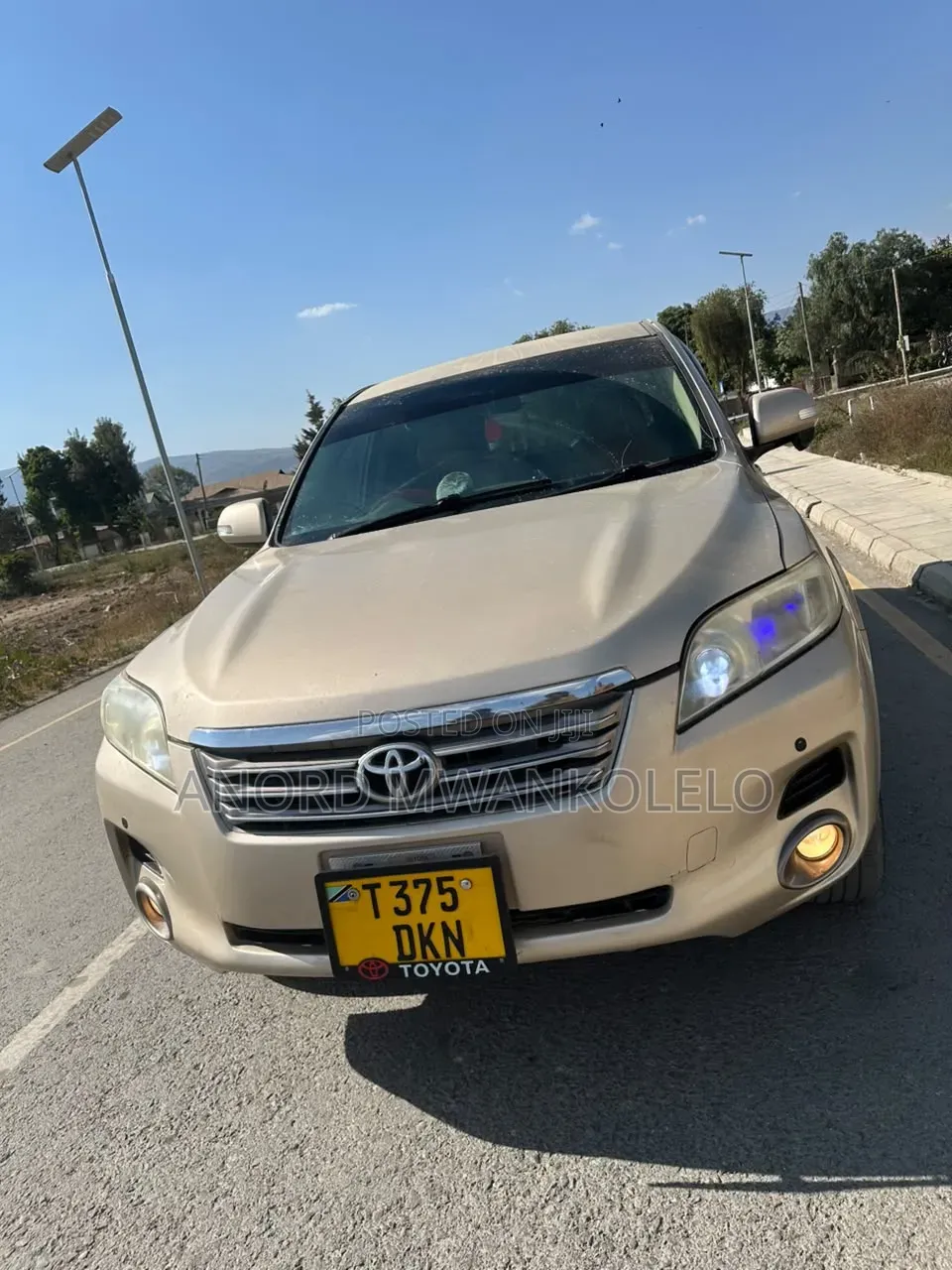 Toyota Vanguard 2007 Brown
