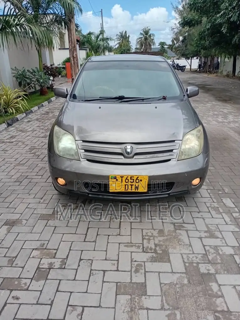 Toyota IST 2005 Gray