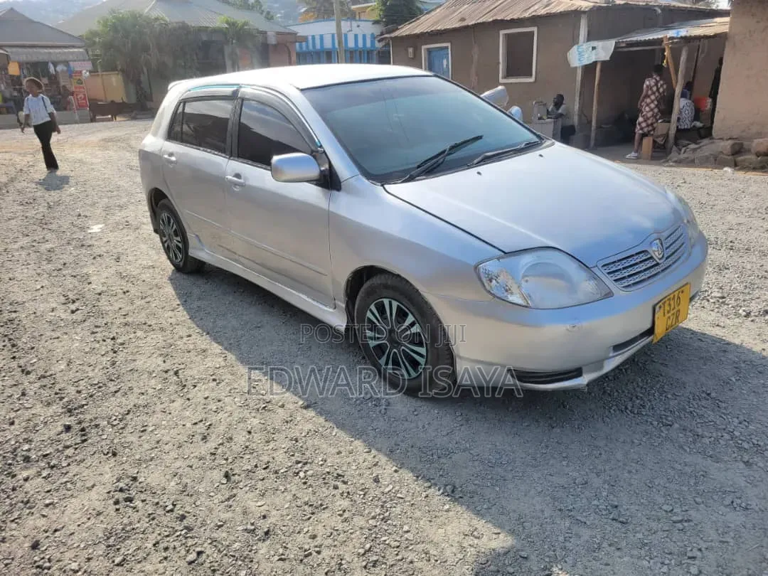 Toyota Allex 2004 Brown