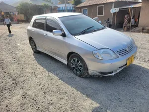 Toyota Allex 2004 Brown