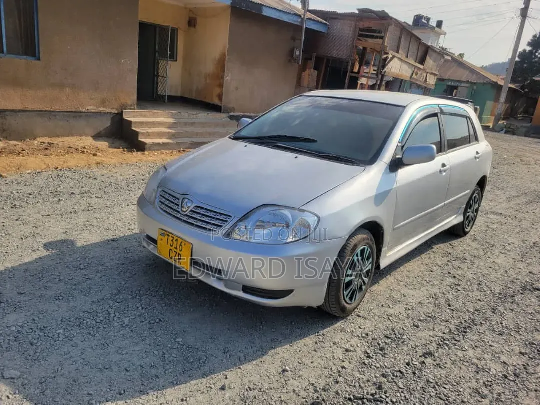 Toyota Allex 2004 Brown