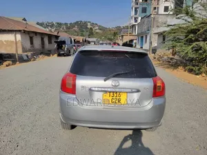 Toyota Allex 2004 Brown