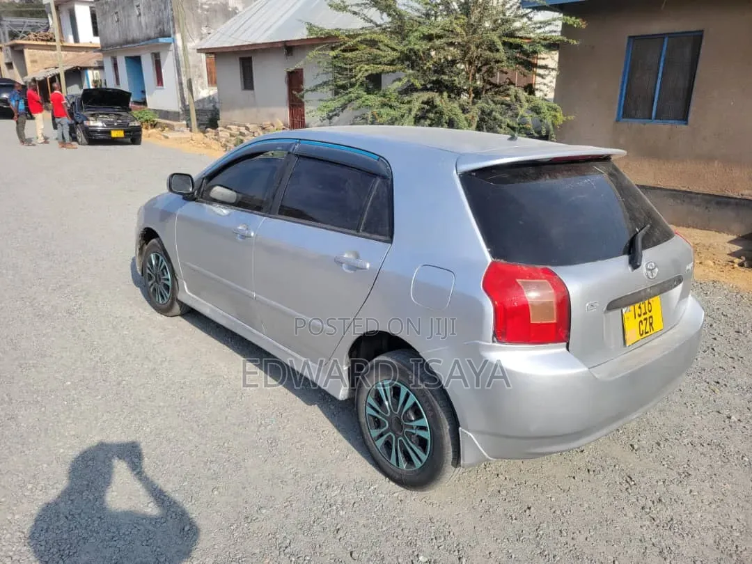 Toyota Allex 2004 Brown