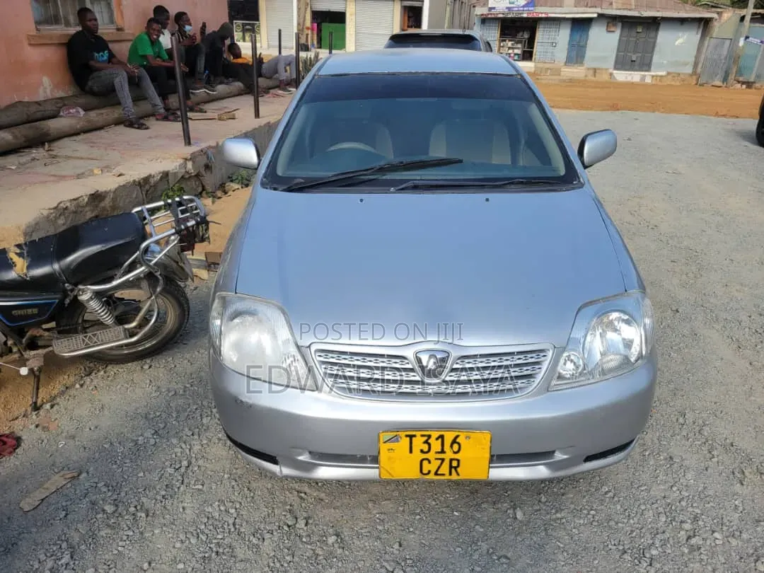 Toyota Allex 2004 Brown
