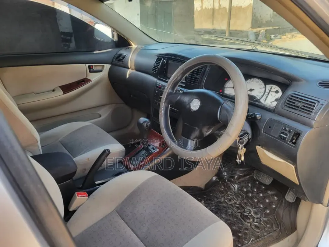Toyota Allex 2004 Brown