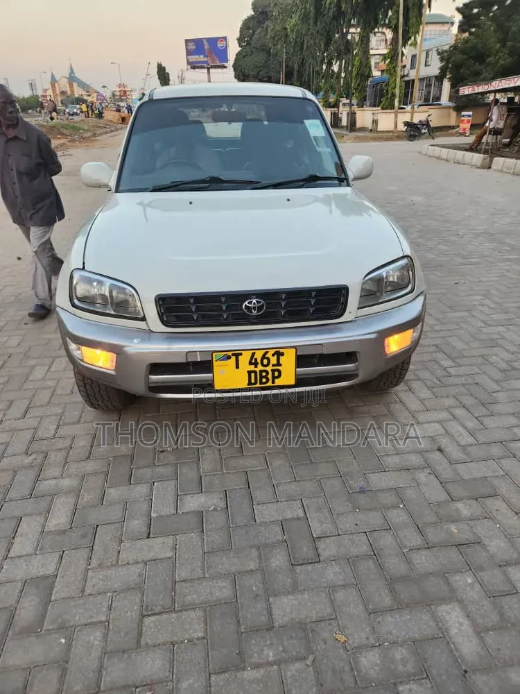 Toyota RAV4 2008 Gray