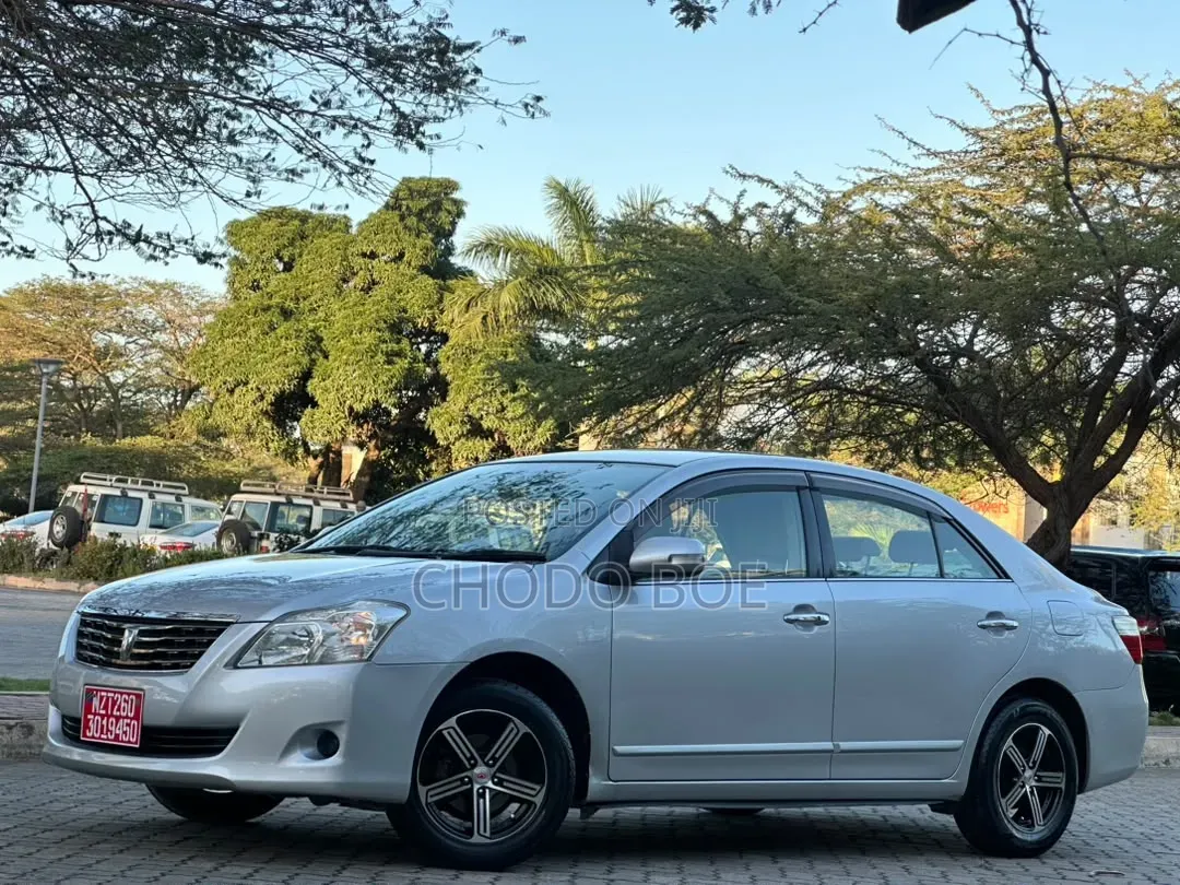 Toyota Premio 2009 Silver