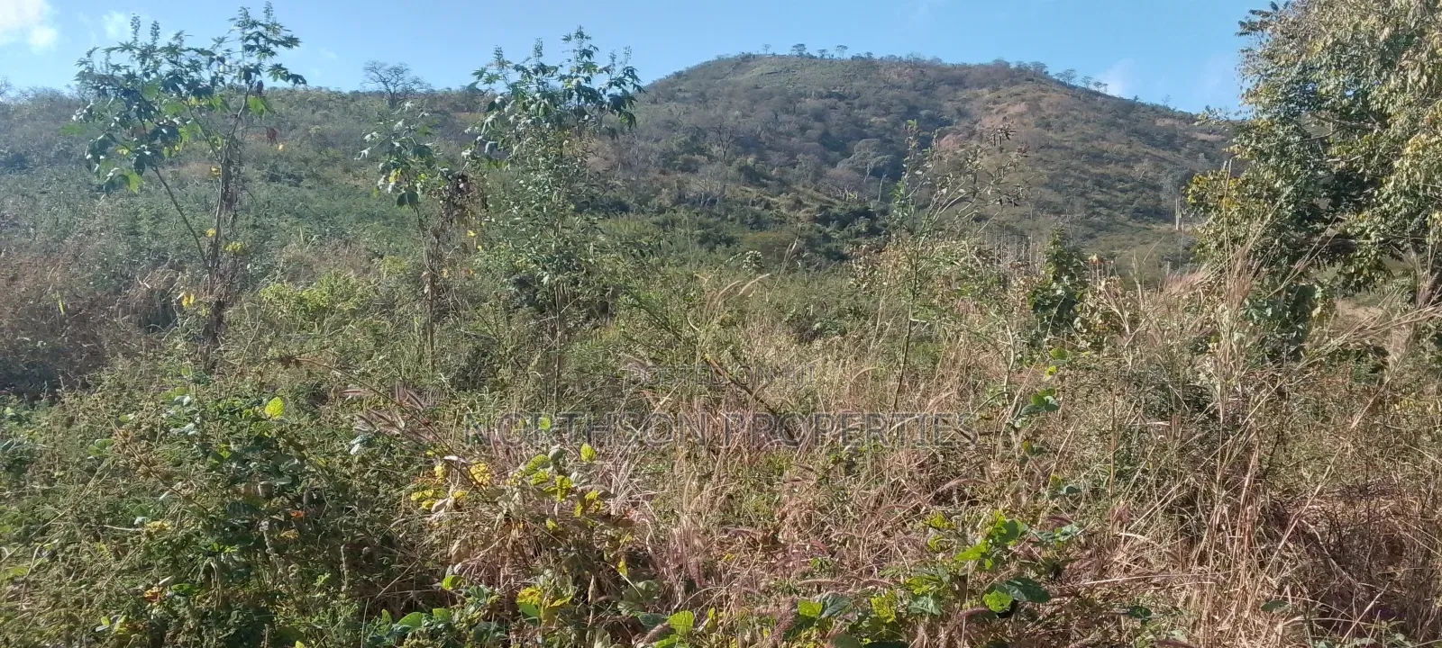 Shamba Pangawe Morogoro Mjini