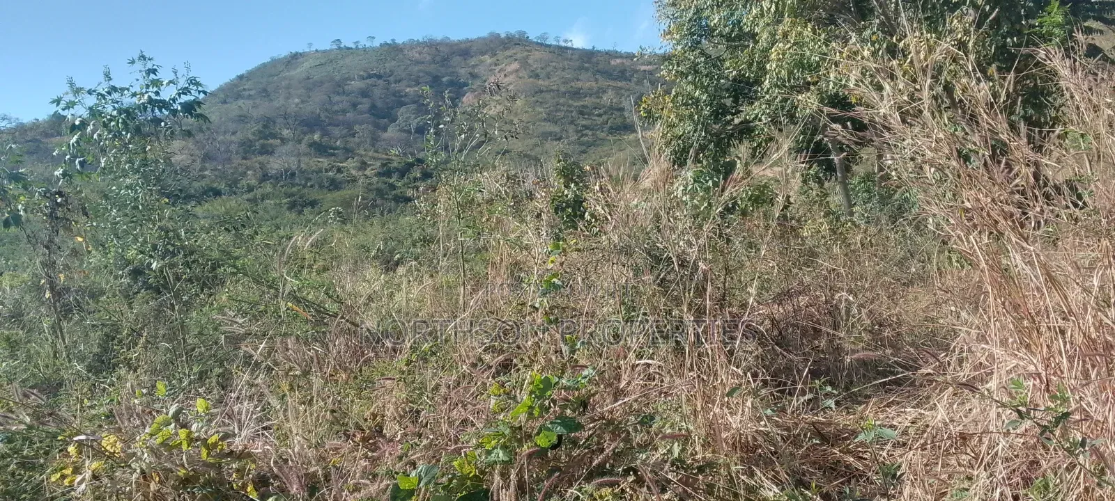 Shamba Pangawe Morogoro Mjini