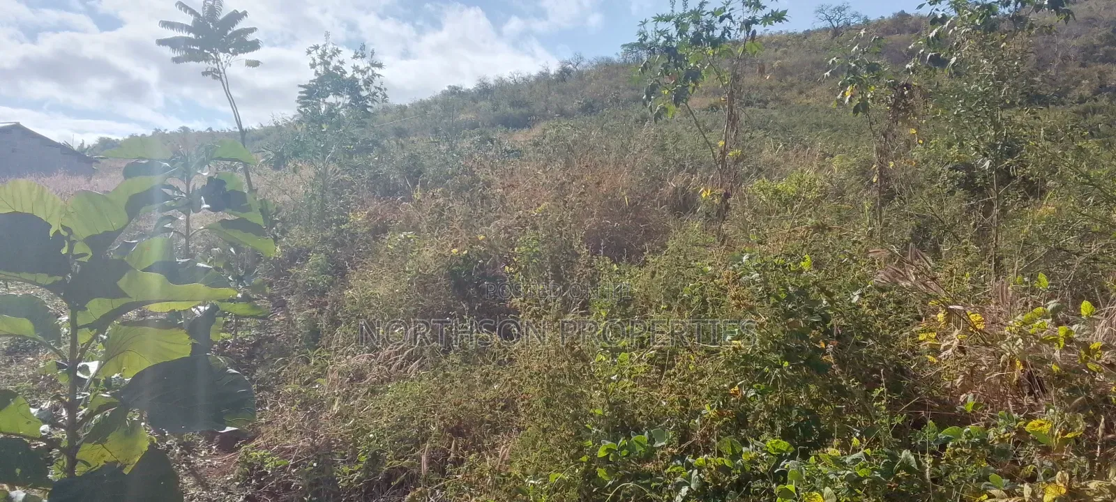 Shamba Pangawe Morogoro Mjini