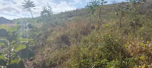 Shamba Pangawe Morogoro Mjini