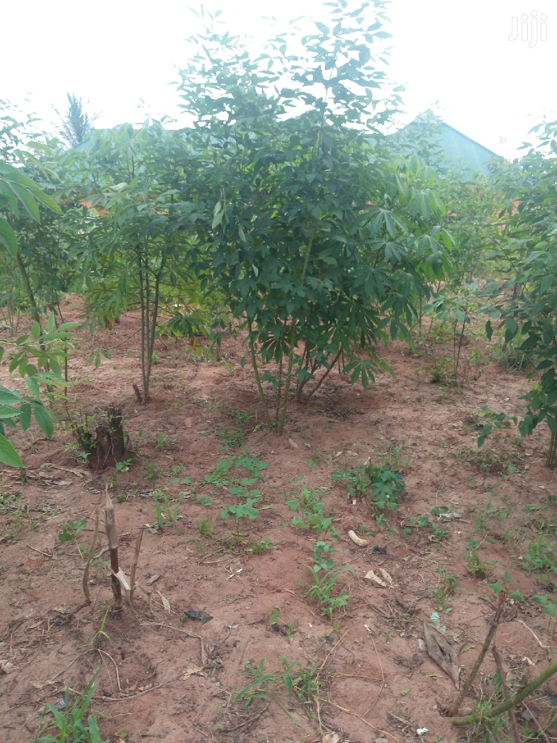 Plot For Sale