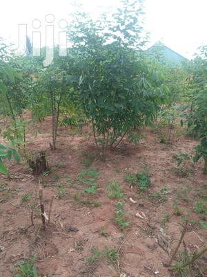 Plot For Sale