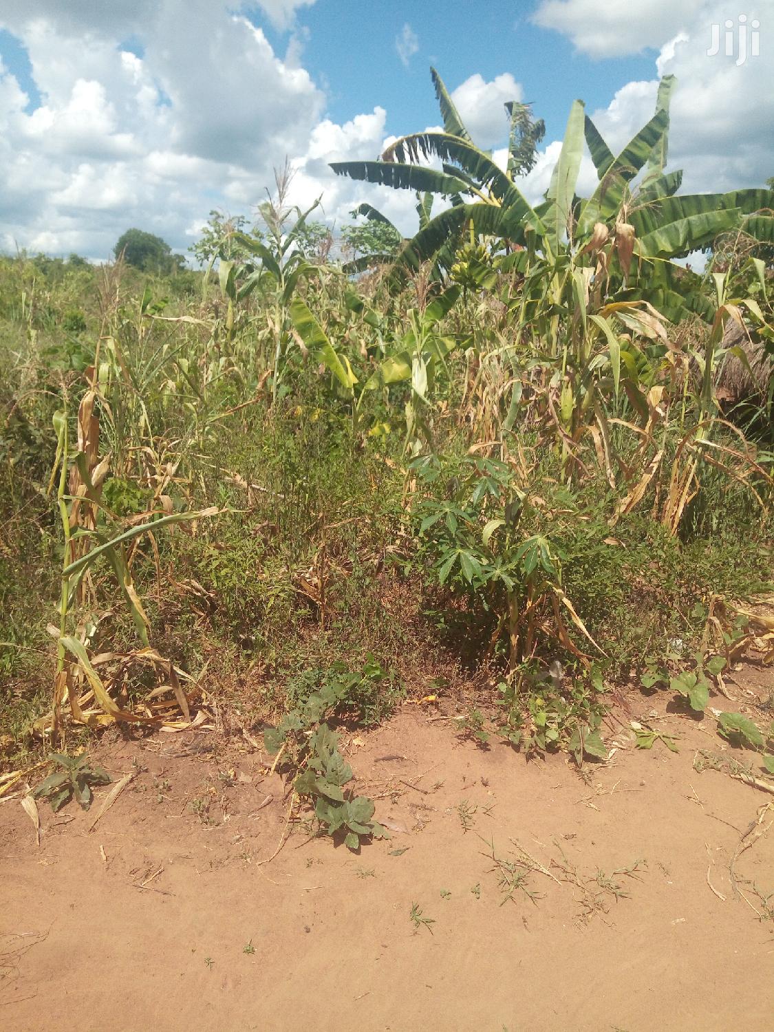 Shamba Linauzwa