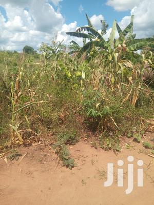 Shamba Linauzwa