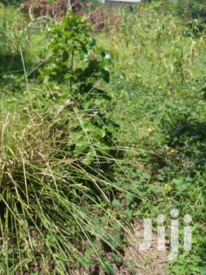 Shamba Linauzwa