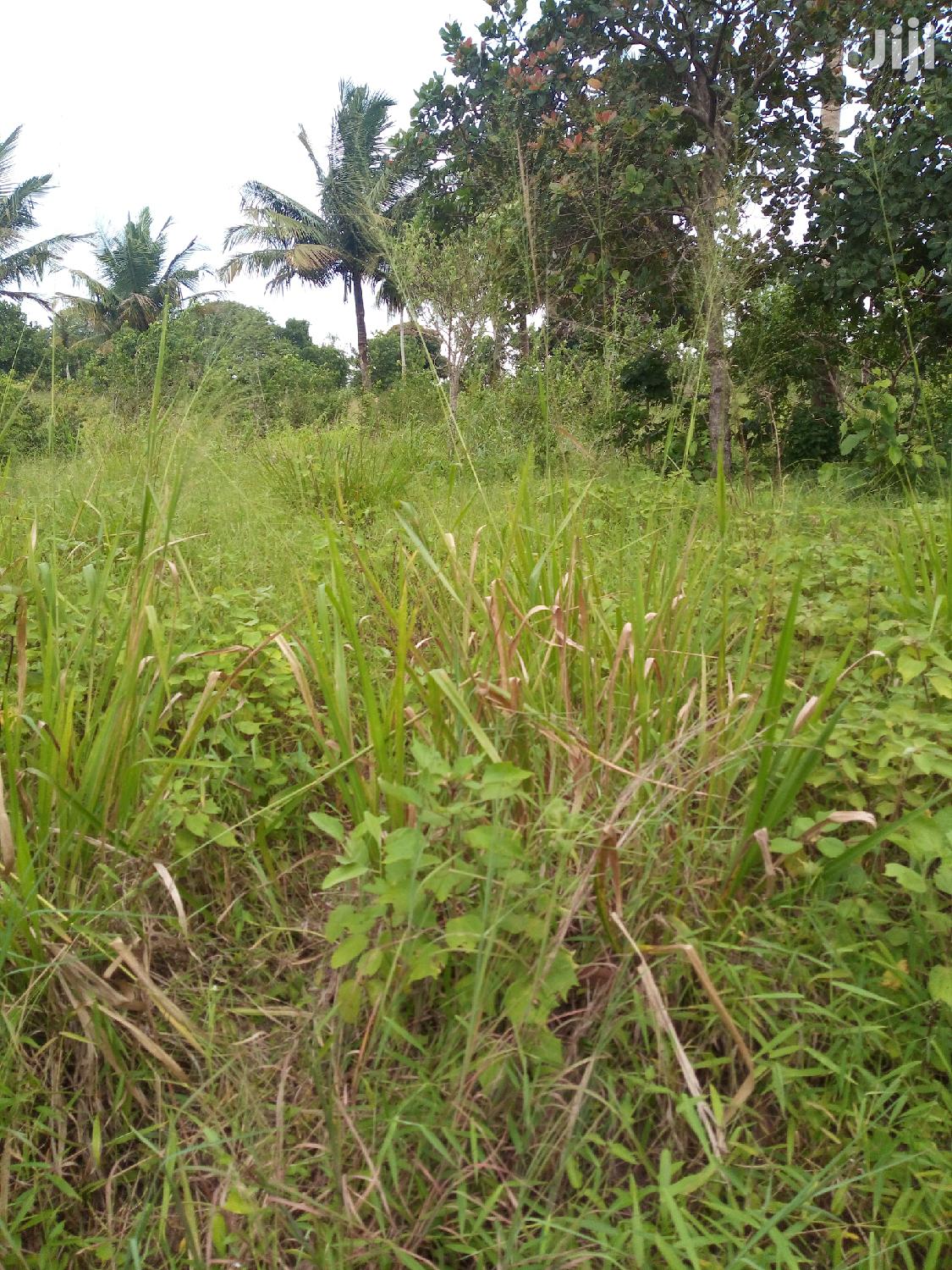 Shamba Linauzwa