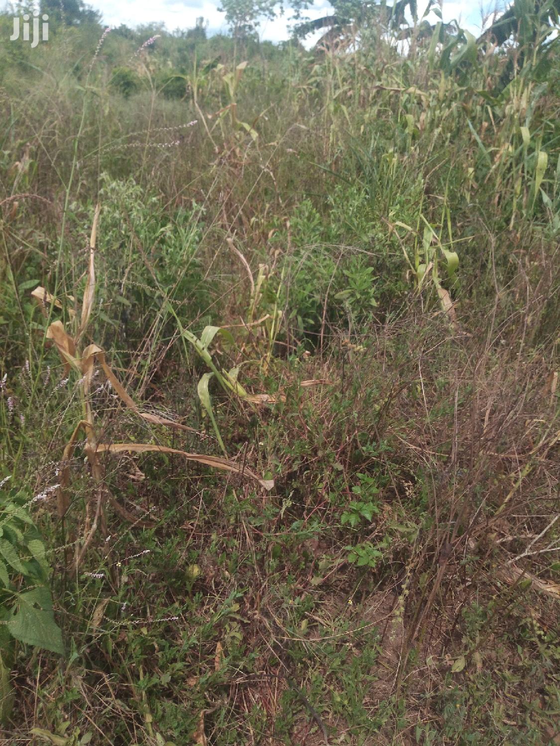 Shamba Linauzwa